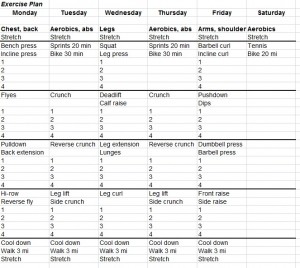 Fitness Schedule Template