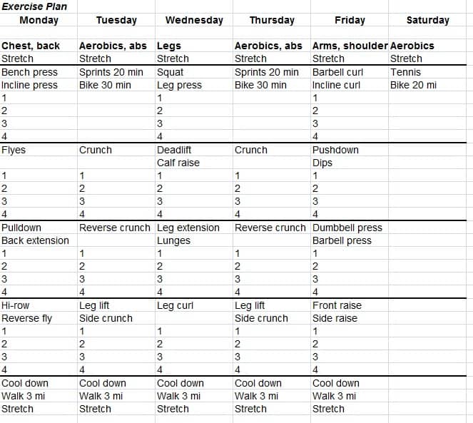 Fitness Schedule Template