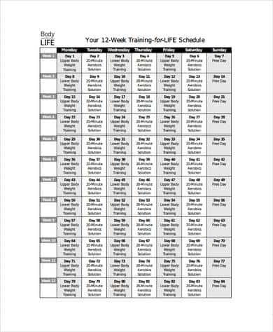 Army Training Schedule Template from www.freescheduletemplates.com
